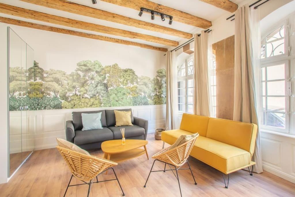 Apartament La Halte Strasbourgeoise - Superbe Appt Pres De La Petite France Zewnętrze zdjęcie